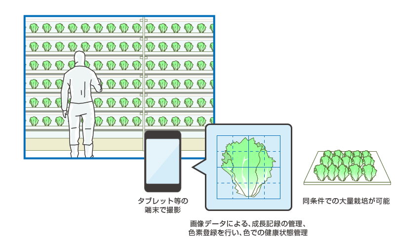 農業プラント栽培管理システムの概要図